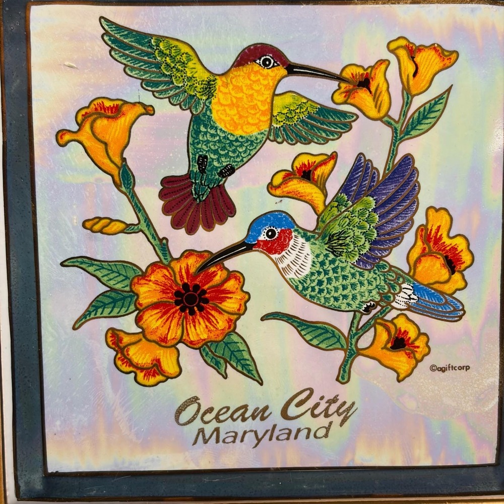 Ocean City Maryland Hummingbird Iridescent Framed Ceramic Art Tile